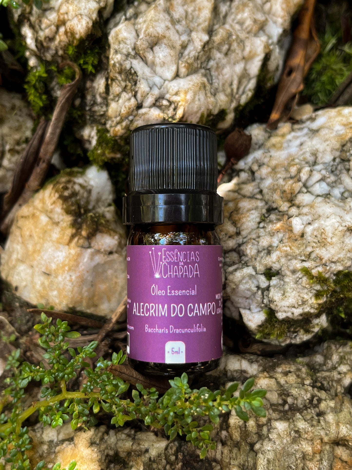 Óleo essencial de Alecrim do Campo de Essências da Chapada