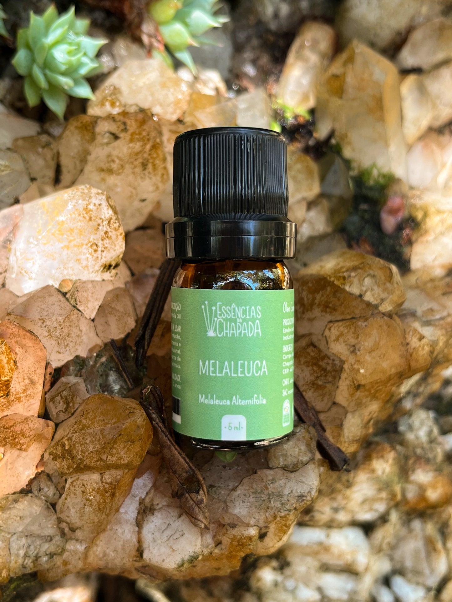 Óleo essencial de Melaleuca de Essências da Chapada