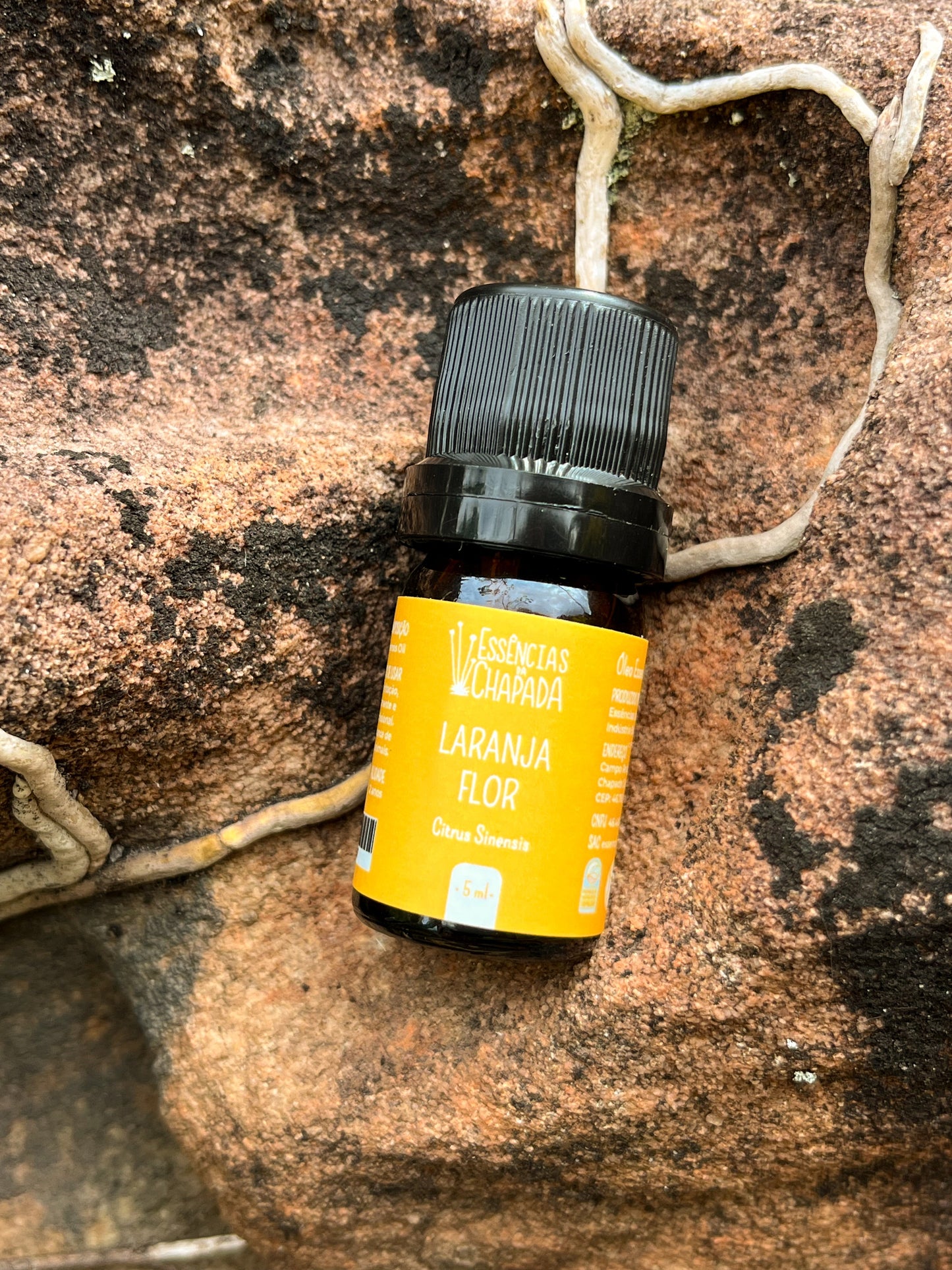 Óleo essencial de Laranja Flor de Essências da Chapada
