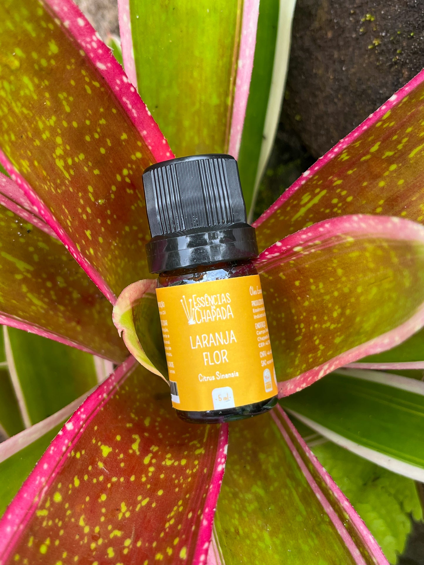 Óleo essencial de Laranja Flor de Essências da Chapada