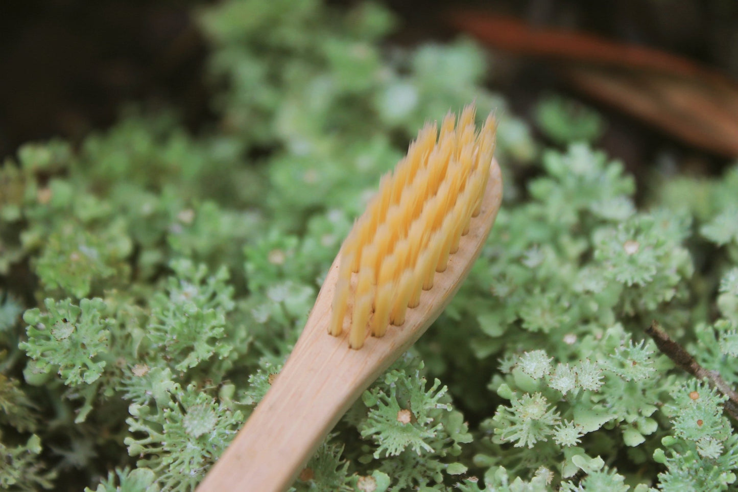 Escova de dentes Ecológica de Bambu de Essências da Chapada