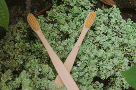 Escova de dentes Ecológica de Bambu de Essências da Chapada